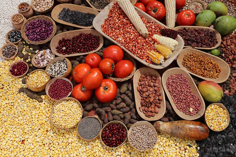 varietà mais colombia