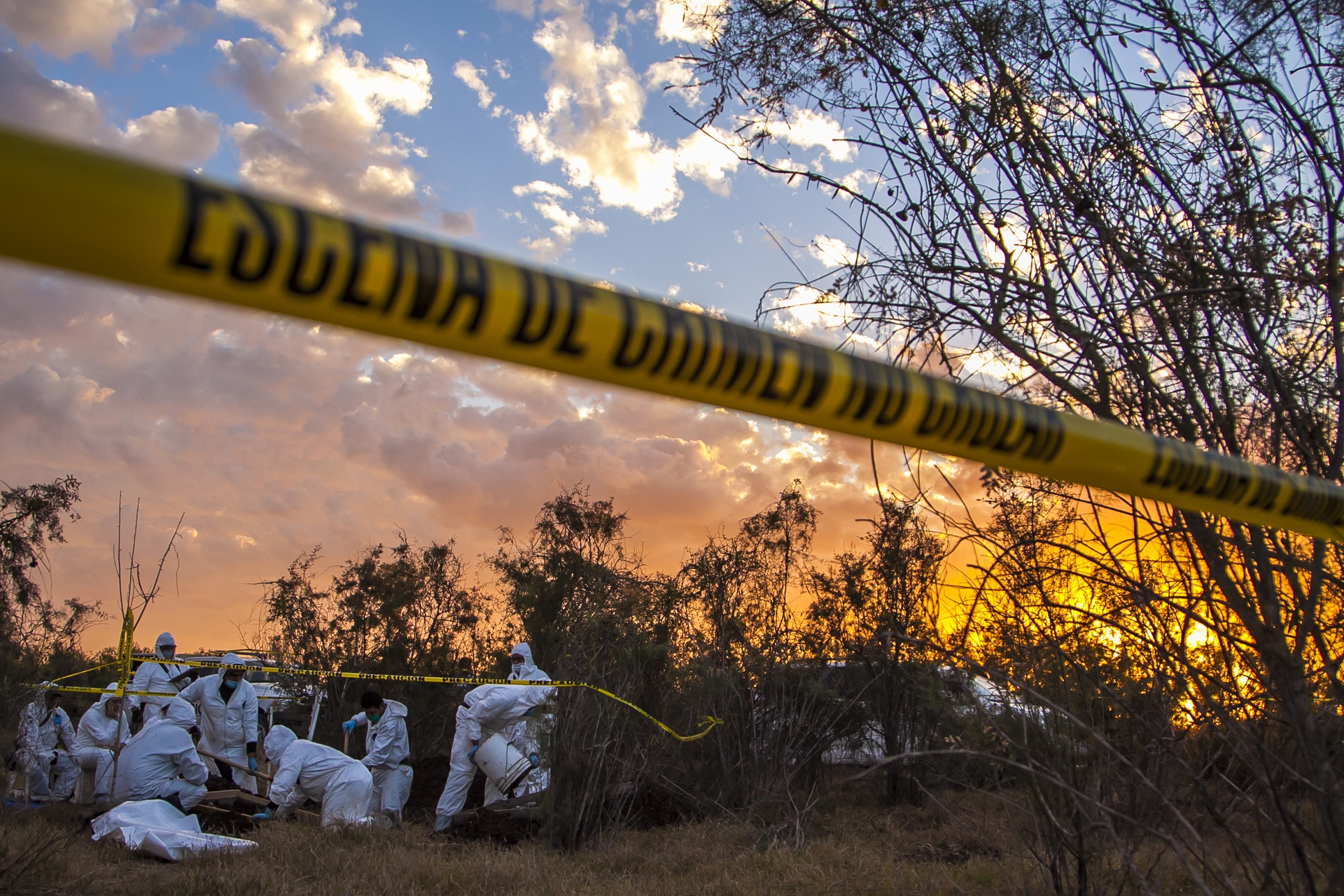 Bisqueda Dedaparecidos 2