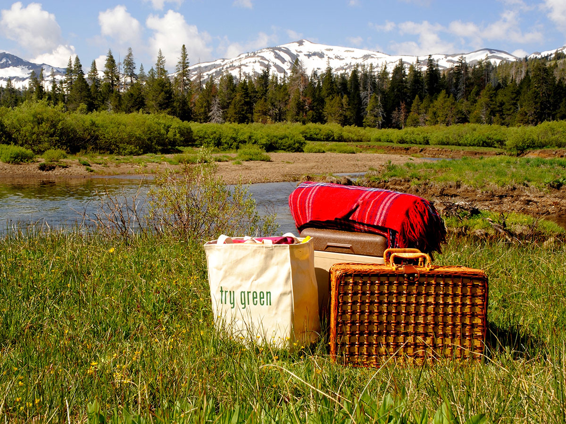 Il picnic all'aperto, una lunga storia di gusto e natura LifeGate