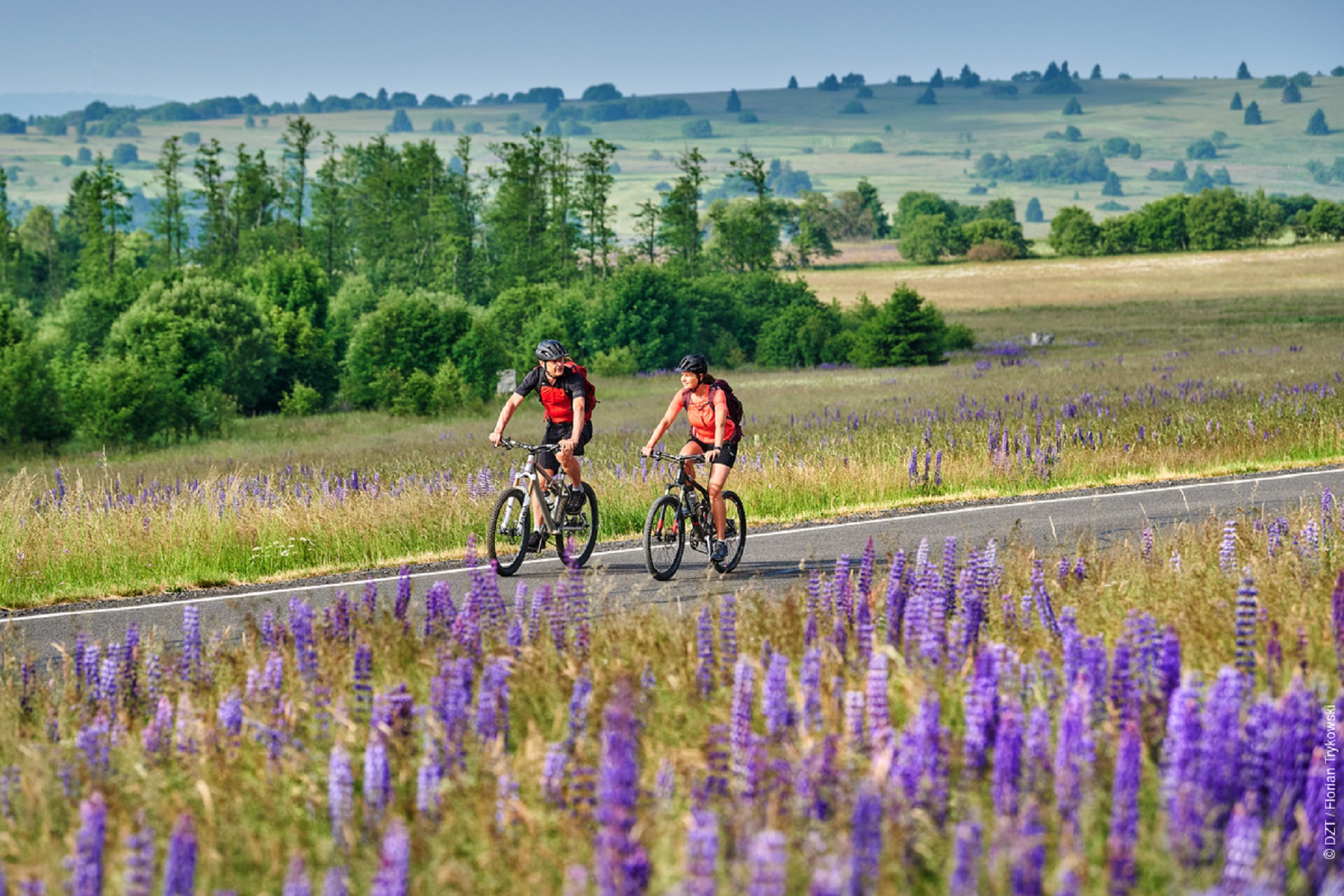 Riserva della biosfera di Rhön