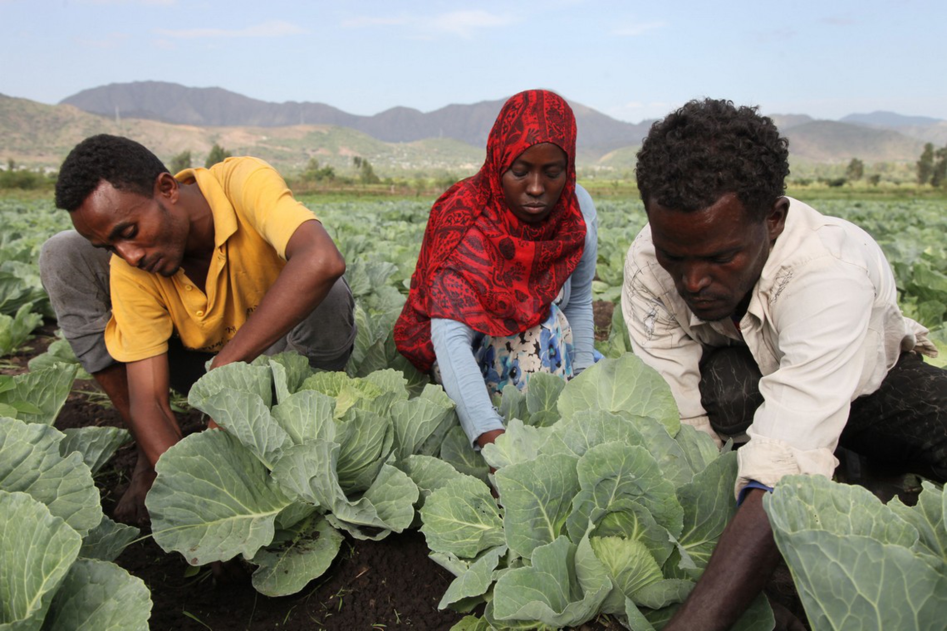 Giornata mondiale dell'alimentazione 2018, Fao