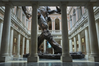 Damien Hirst a Venezia, il re dell’arte contemporanea sceglie l’Italia per il suo ritorno