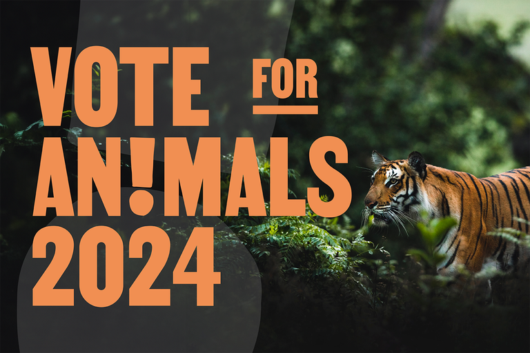 Vote for animals Anche gli animali votano elezioni europee 2024 LAV Italia