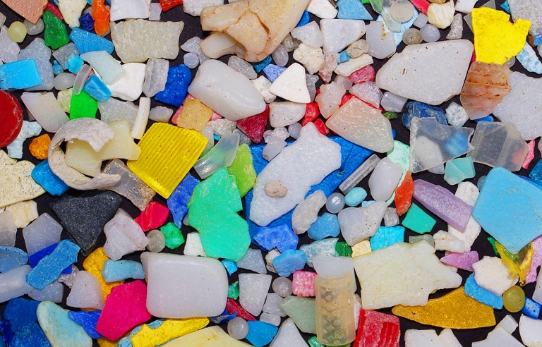 Frammenti di plastica presenti in mare