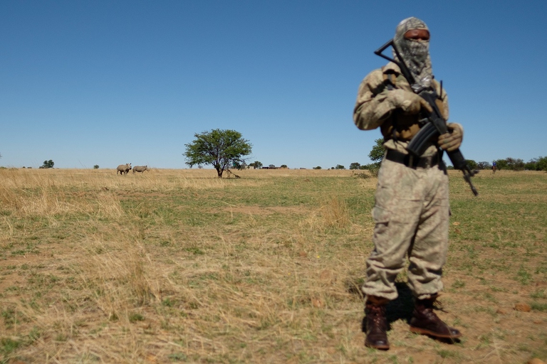 rhinos, poaching, south africa, guard