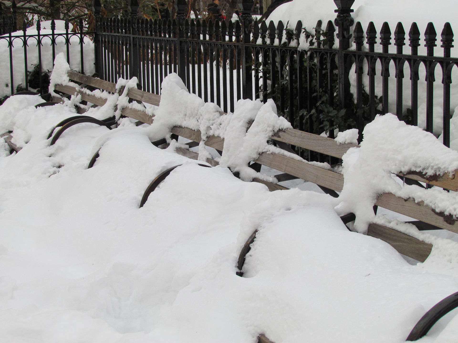 New York durante la bufera di neve Jonas © Luisa Gattone