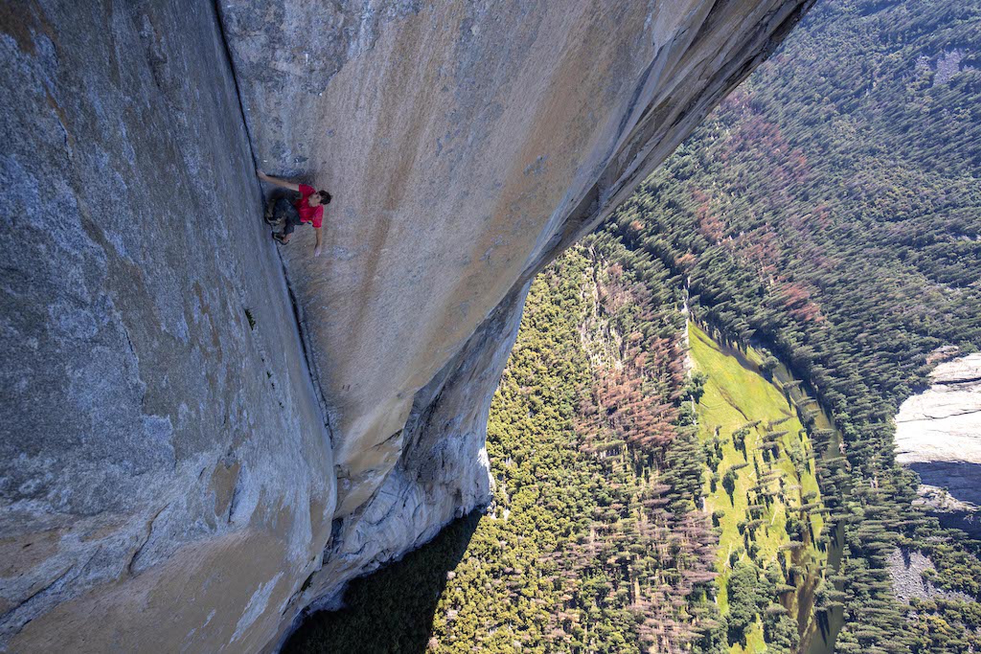 Free Solo wins Oscar for best documentary feature