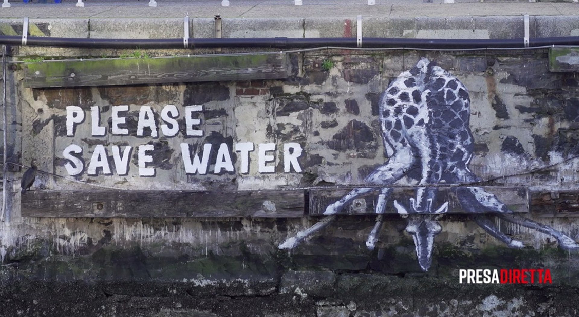 Acqua perduta, l'inchiesta di Presadiretta sulla gestione delle risorse idriche in Italia e nel mondo