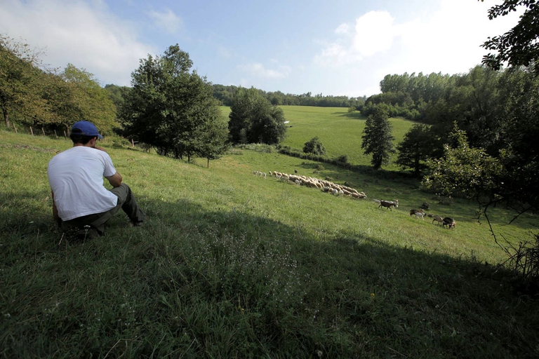 Alta Langa, Pascoli di Amaltea