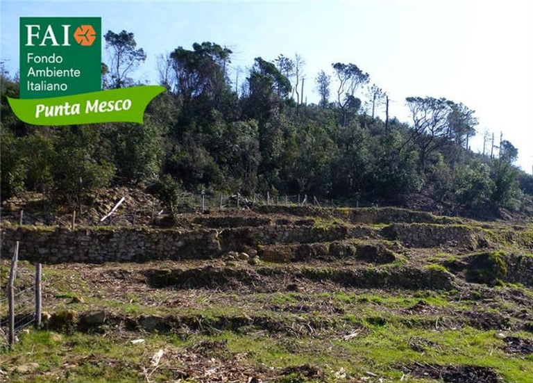 11250206_752162521560803_411080875316746499_n