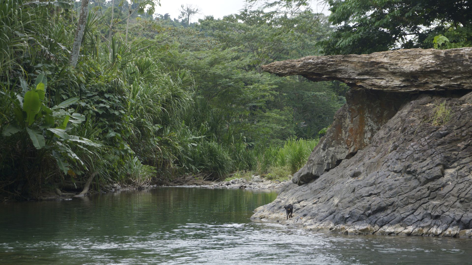 fiume del costa rica