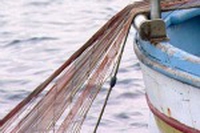 Al Capolinea. Gli oceani senza più pesce