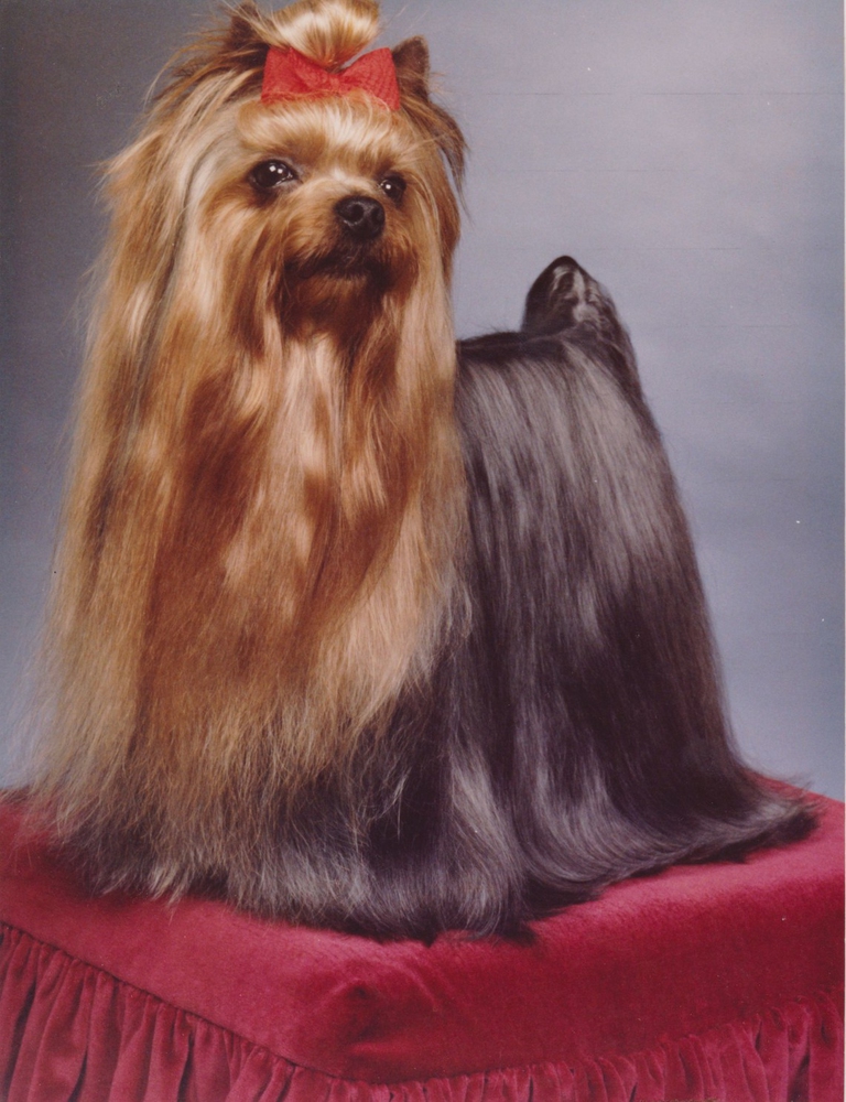 1 Ch. Mondiale Agapi Delle Antiche Mura