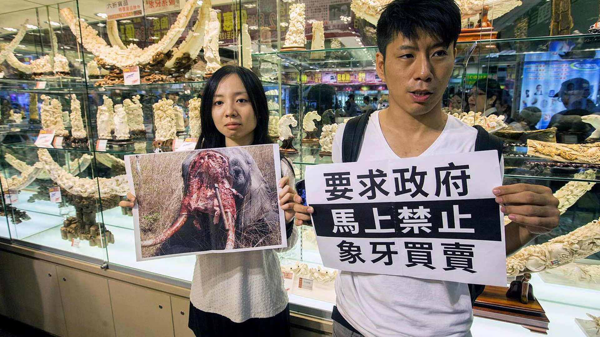 protesta-giovani-cinesi-avorio