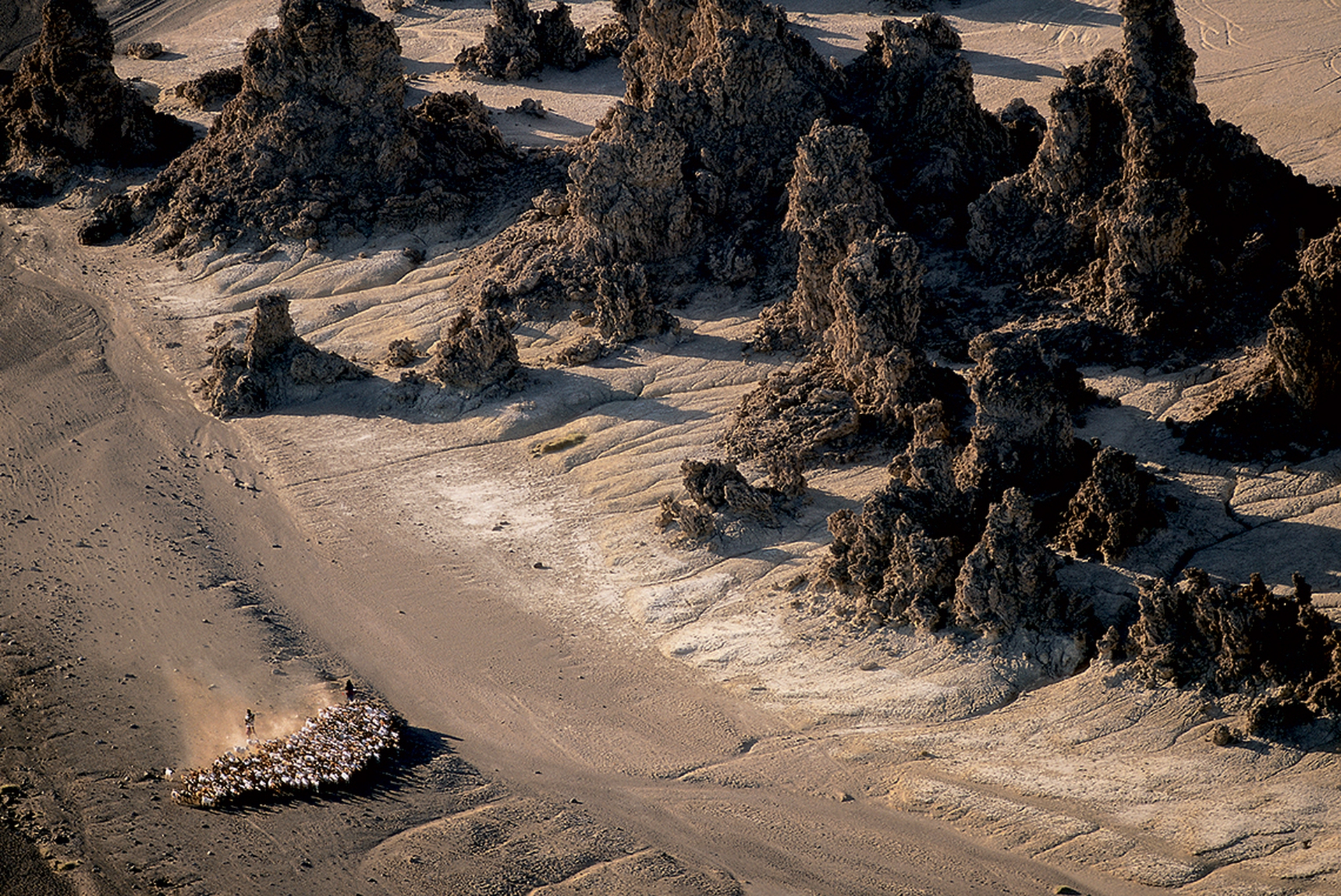 May, 2016 Amani calendar