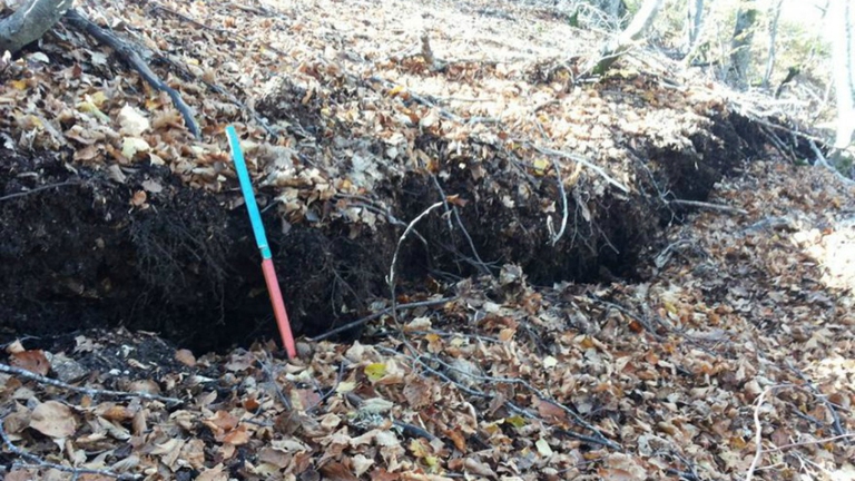 Il livello del terreno si è abbassato a vista d'occhio dopo gli ultimi terremoti © Paolo Galli/ Fb