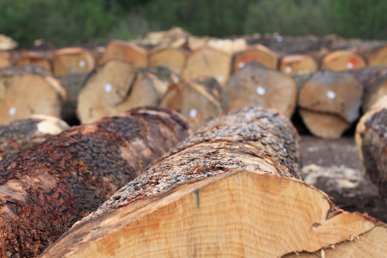 Legname certificato Fsc