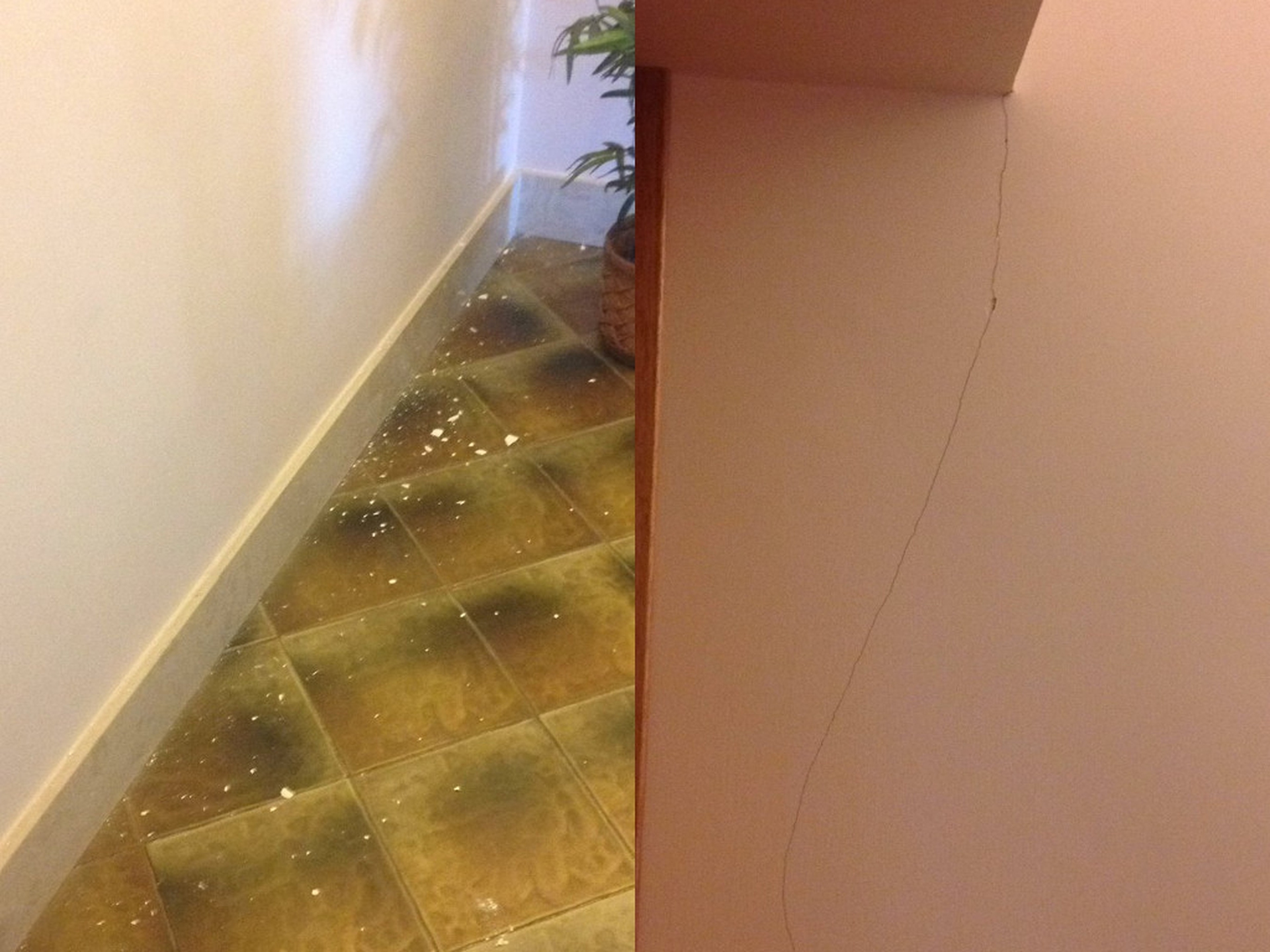 Terremoto 30 ottobre: crepe e calcinacci a Roma