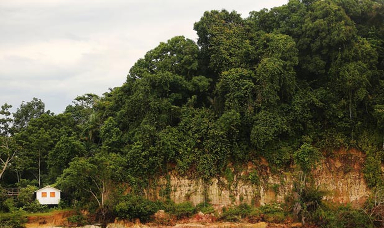 amazzonia-brasiliana-2