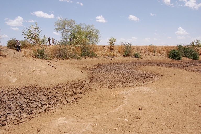desertification human activities