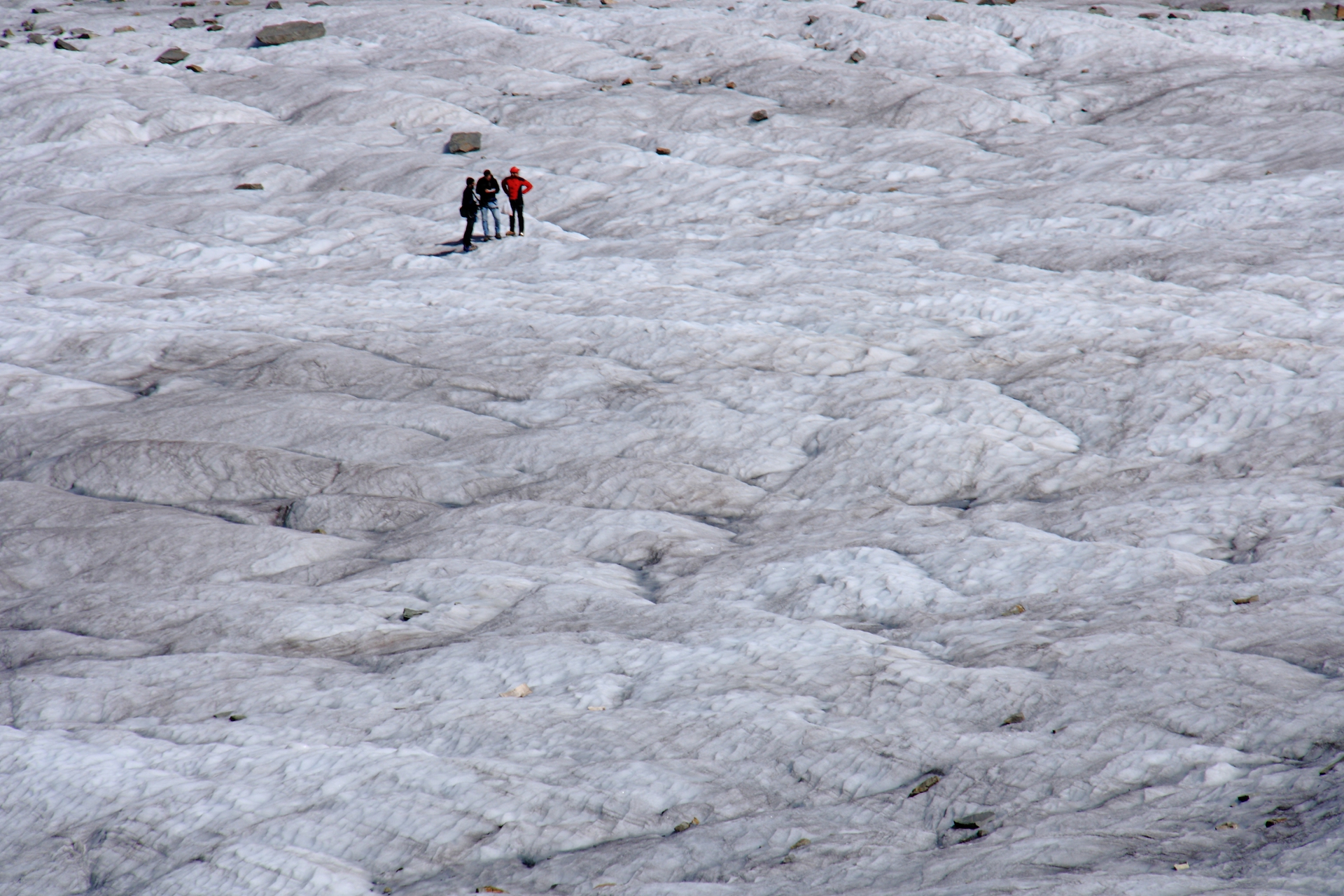 02. Rilievi spettrometrici sul ghiacciaio del Morteratsch