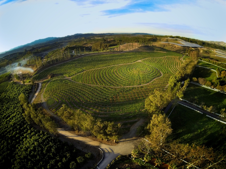 Una vista delle colture di Apricot Lane dall'alto. Estesa su 200 acri di terreno la fattoria ospita 850 animali e 75 varietà di coltivazioni biodinamiche