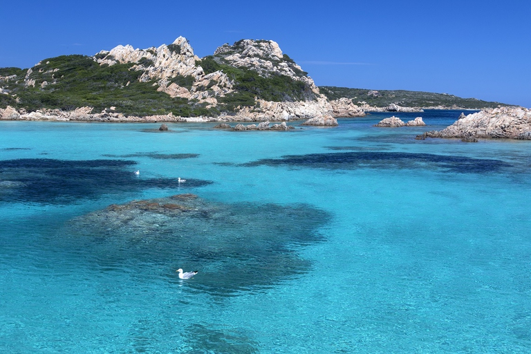 L'acqua turchese del Parco nazionale la Maddalena