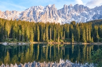 L’Italia ha una strategia forestale nazionale per i prossimi 20 anni. E tutti dovremmo conoscerla