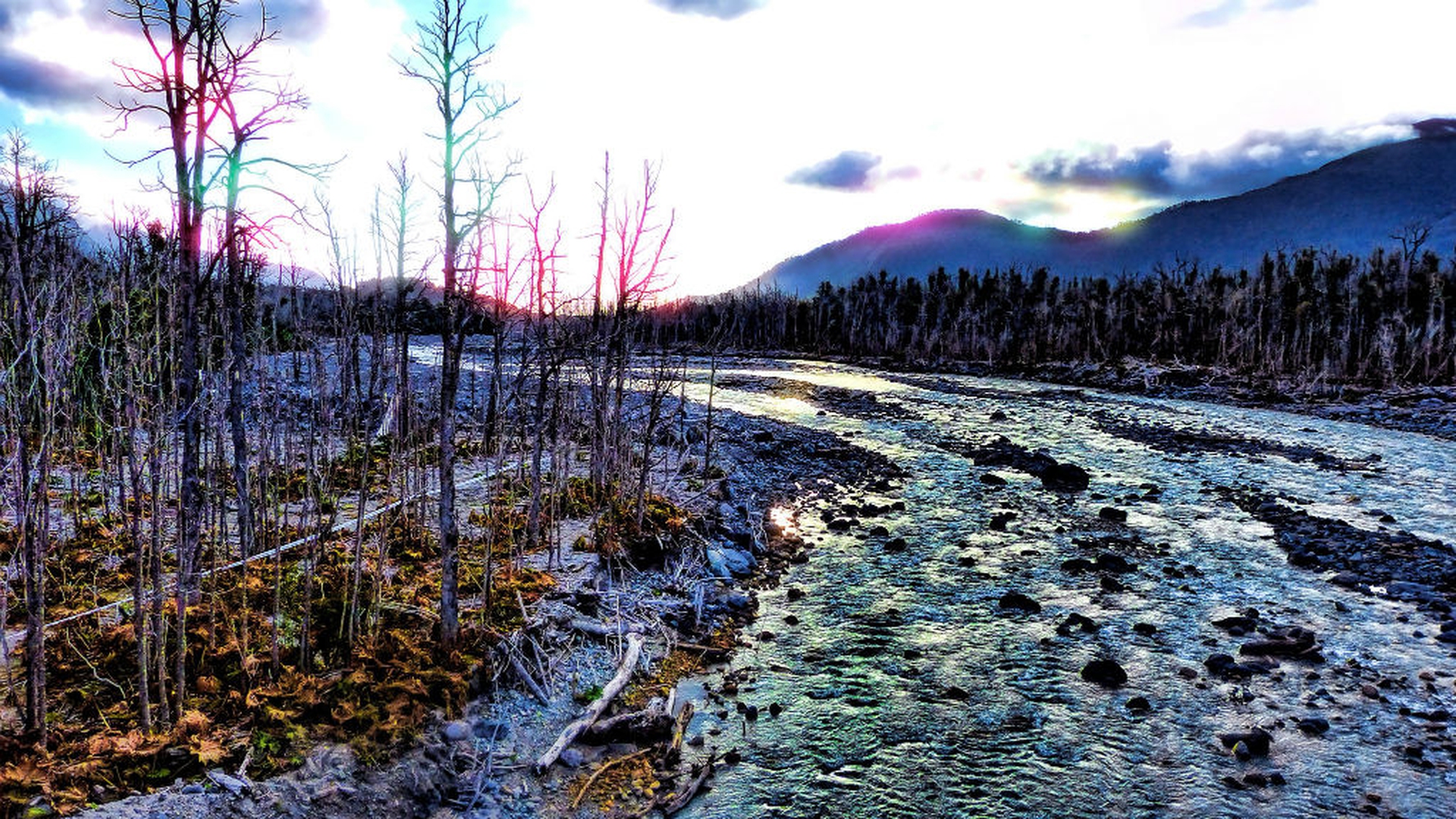 Rio Blanco parco Pumalin