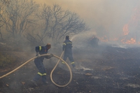 In Grecia è in corso il più grande incendio boschivo mai registrato in Europa