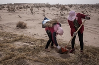 Storie di paesi che combattono la desertificazione
