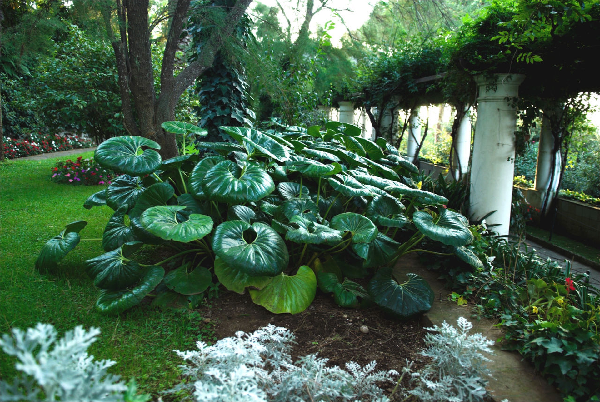 10 giardini d'Italia da non perdere