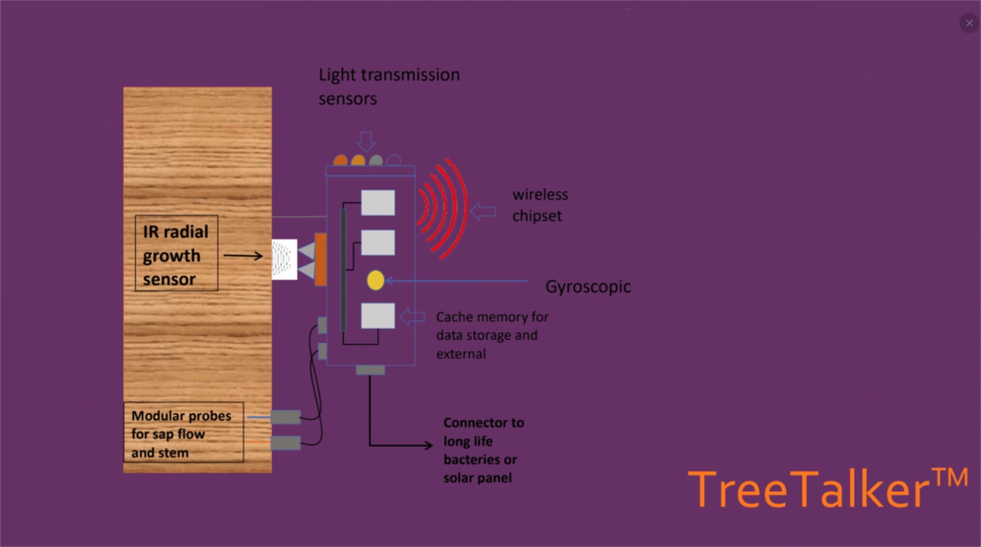 TreeTalker, lo schema di funzionamento