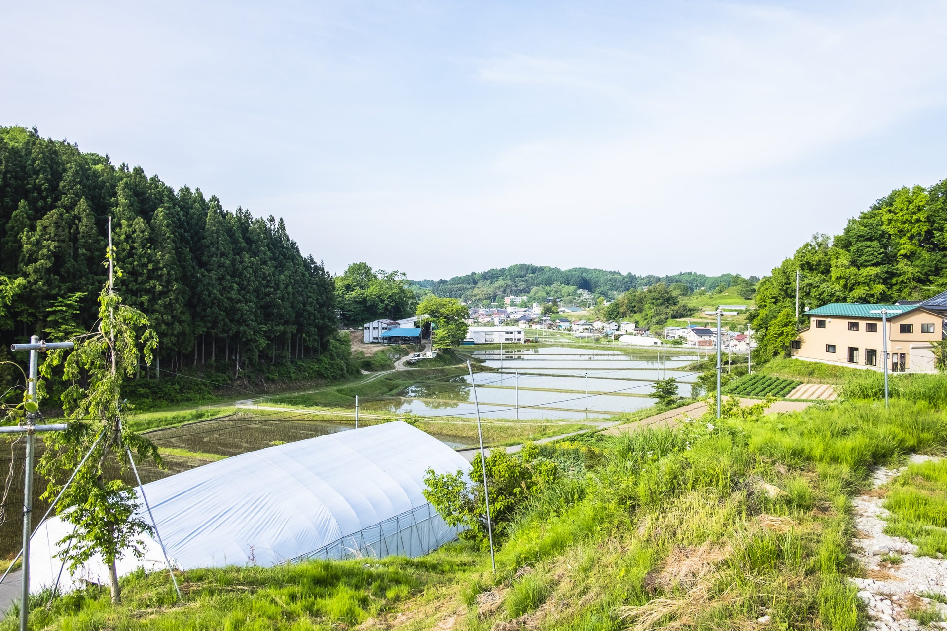 Fukushima a sei anni dal disastro