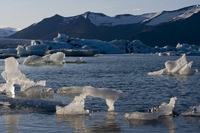 Per gli italiani, i cambiamenti climatici sono la più grande sfida globale