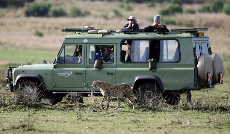 kenya censimento fauna selvatica