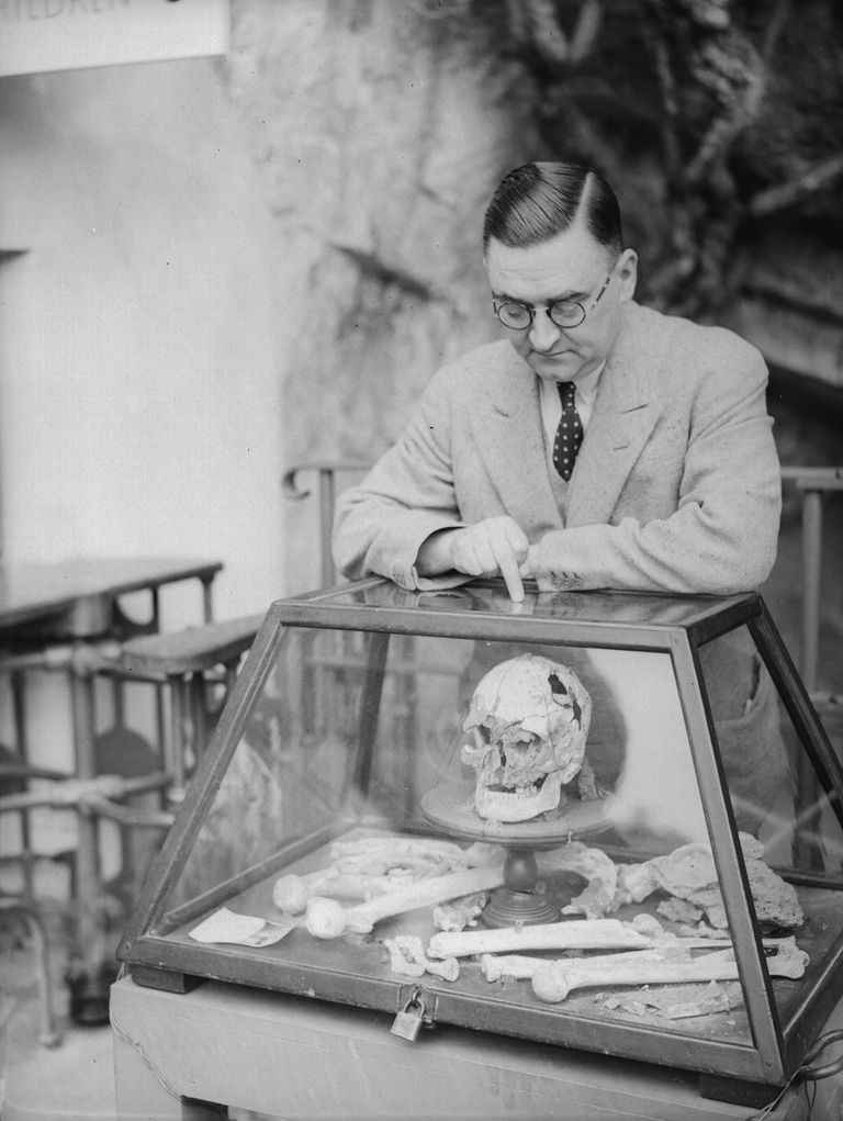 Foto del 1935 che ritrae i resti dell'uomo di Cheddar esposti nel Cheddar Gorge museum © Fox Photos/Getty Images