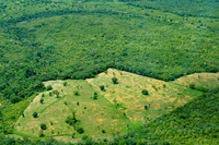 Brasile, un’area di foresta amazzonica grande quanto l’Italia non sarà più protetta