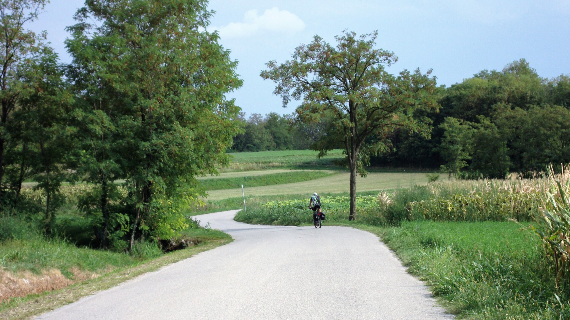 Strade basse tra campi e vigneti © paola piacentini