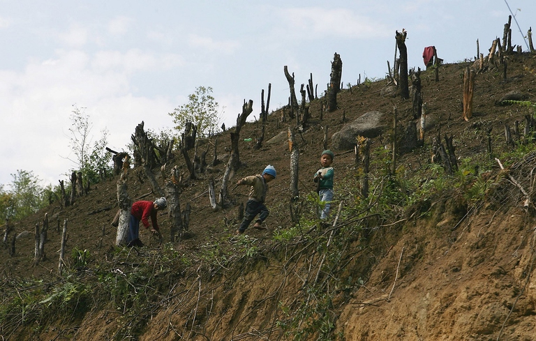 deforestation Myanmar