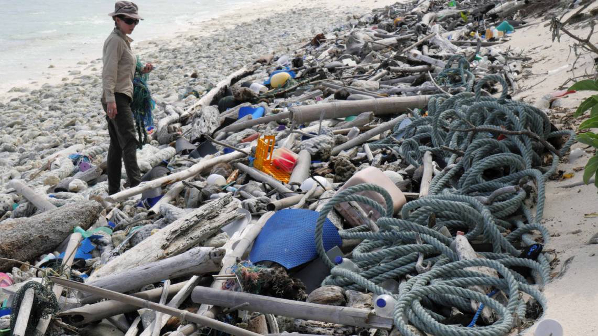 plastica isole cocos (6)