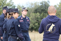 Io merito giustizia, un progetto contro i maltrattamenti animali