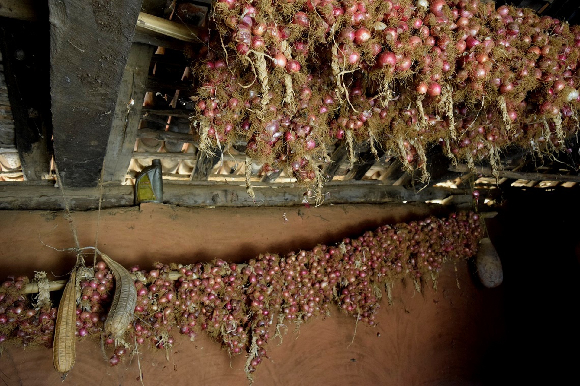 Onions grown in the farm stored a farmers granary for family consumption