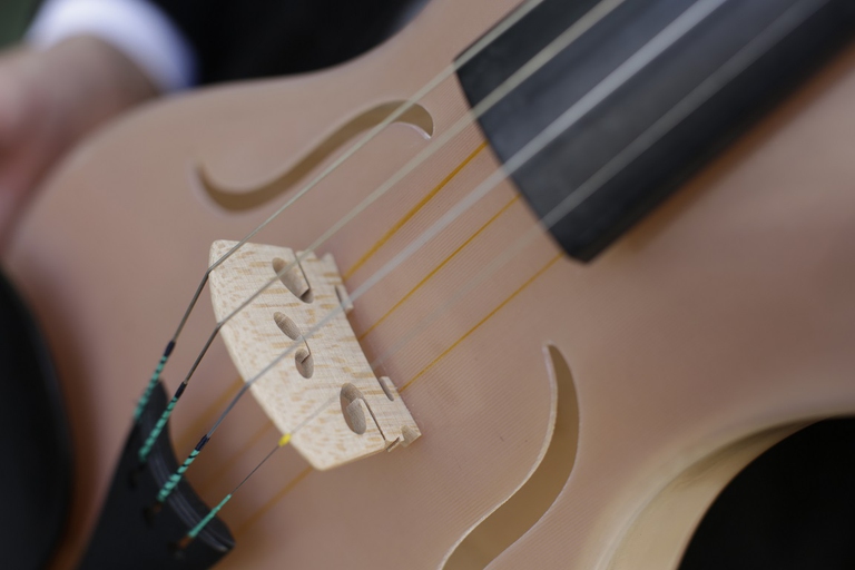 The spider silk violin created by Luca Alessandrini