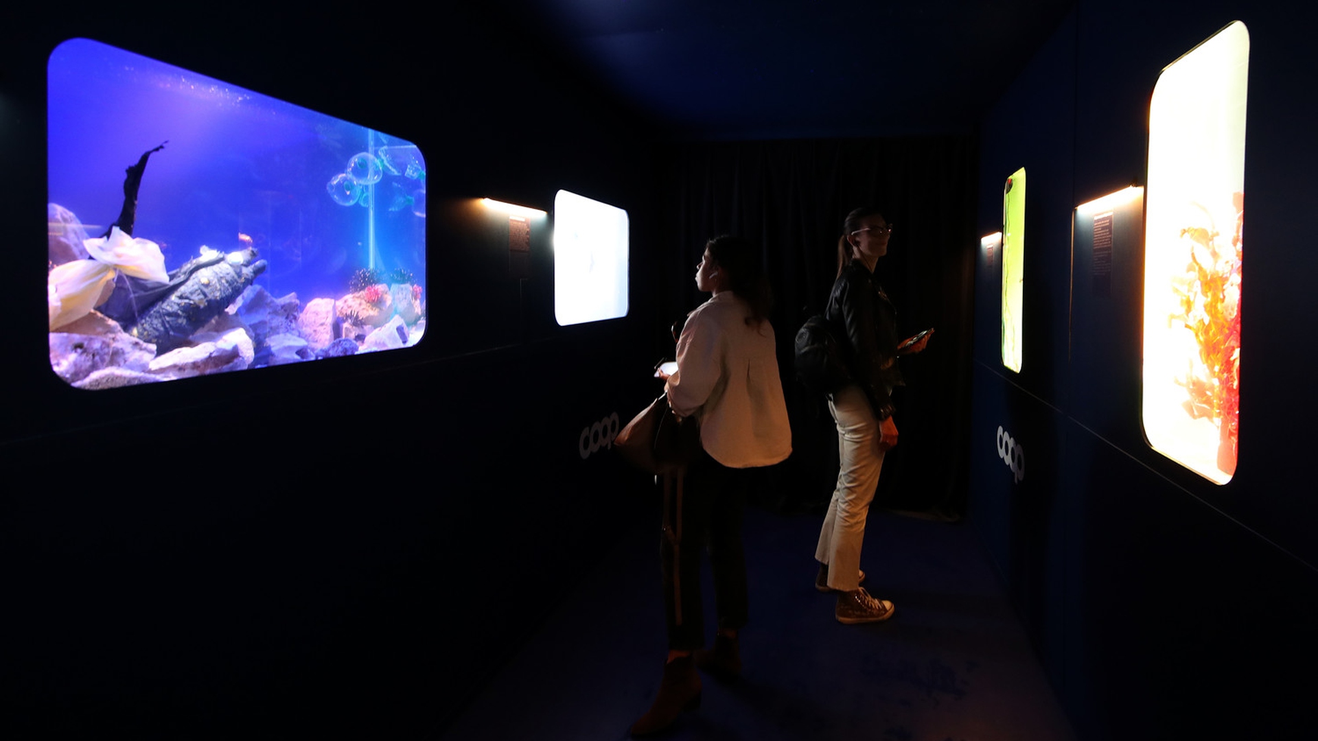 installazione di Coop a Trieste