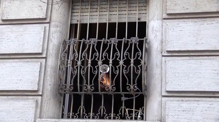 Raffaele Kohler omaggia Milano con la sua tromba