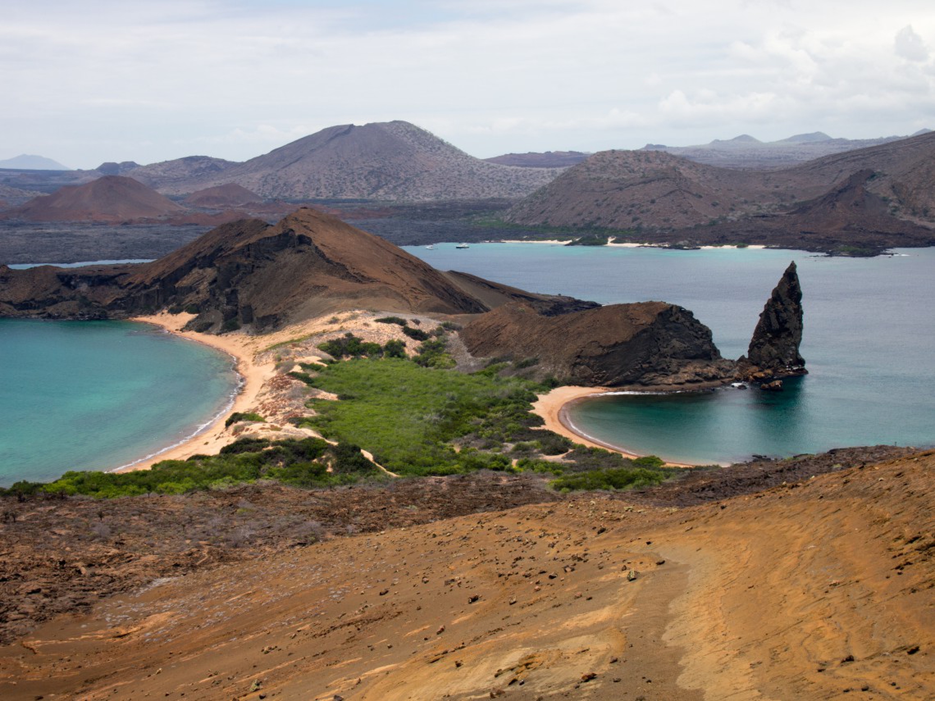 Galapagos marine sanctuary - LifeGate