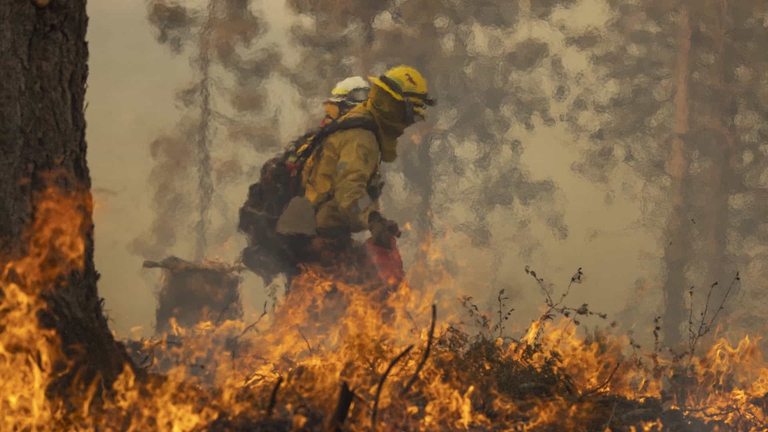 Centinaia di pompieri sono stati impegnati per domare l'incendio Park Fire in California