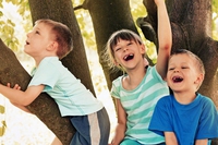 4 ottobre, buona festa degli alberi a tutti
