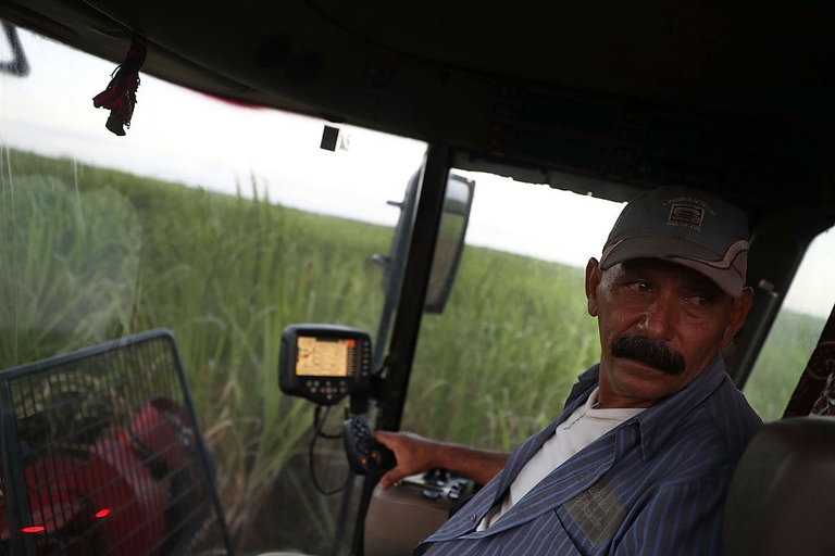 un lavoratore cubano in una piantagione di canna da zucchero